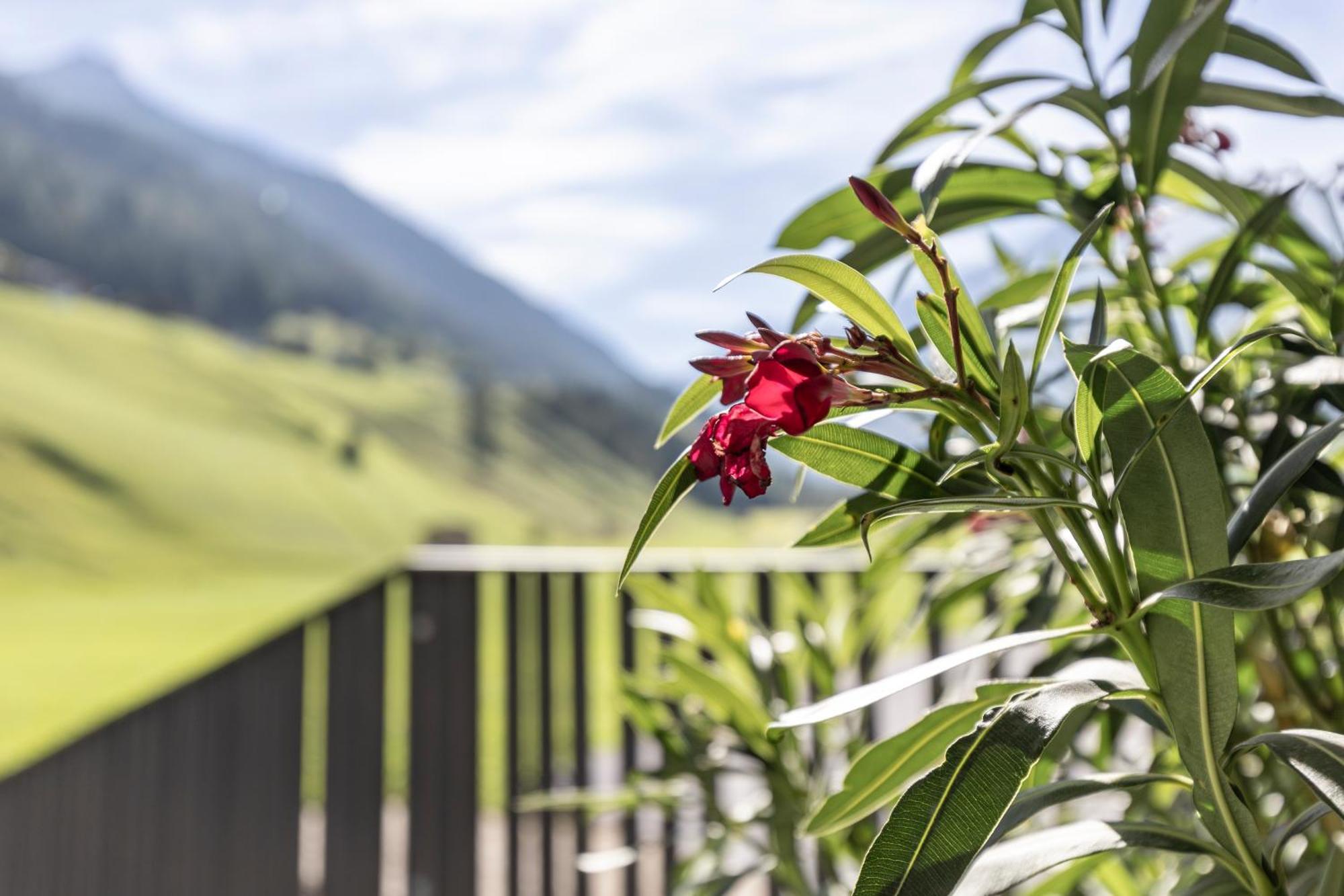 Bergmadl Apartments Neustift im Stubaital Buitenkant foto